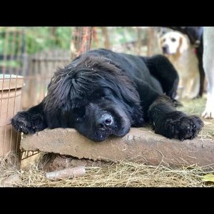 Meet your Posher, Kevin